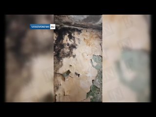 Кинешме прислали жуткие фото и видео своего разрушающегося дома