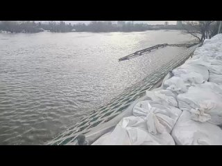 СРОЧНО!!!! НАМ НУЖНЫ ЛЮДИ НА МАШИНЫХ ВЫВОЗИТЬ СОБАК НА ПЕРЕДЕРЖКИ!!! СОБАК МНОГО ВЫТАСКИВАЮТ ИЗ ВОДЫ. У НАС ЗАНЯТЫ РУКИ... - Юлия Дёмина