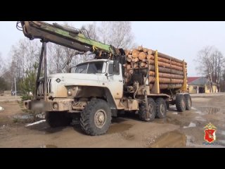 В Вологодской области полицейские пресекли серию незаконных рубок