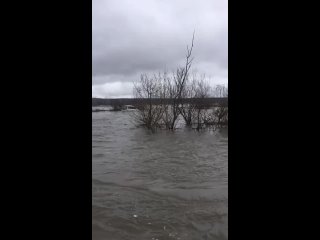 Машина застряла на затопленном острове в Кузбассе