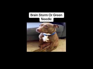 Brain Storm or Green Needle