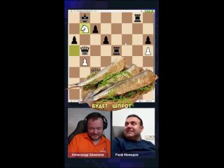 Шахматы Железногорскtan video