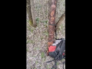 Видео от Русский охотничий спаниель Тверь и охота с ним