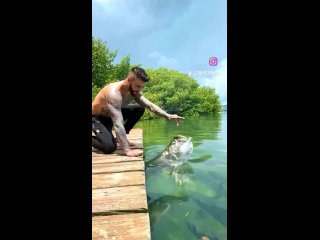 Видео от Рыболовная база Котелево | Тихвин