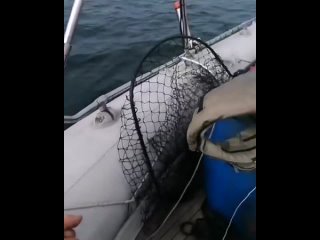 Обычная камчатская рыбалка