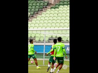 TV Palmeiras/FAM - SEMPRE DECISIVO NÉ PAPI?!