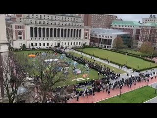 Полиция Нью-Йорка начала разгон пропалестинской акции на территории Колумбийского университета РУБЕЖ (https://t.