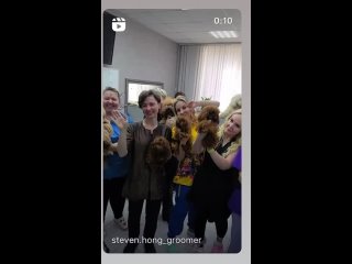 Video by Стрижка собак в Ярославле студия Пудель Штрудель