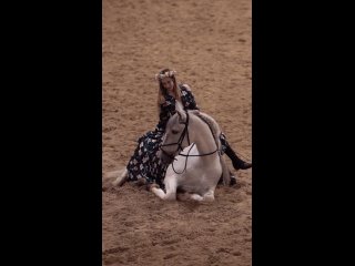 Видео от FAIRYTALE HORSE