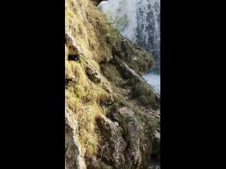 Медовый водопад