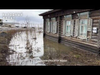 Видео от Народный фронт | Курганская область