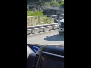 Медвежонок выбежал на трассу в Сочи по дороге к горнолыжному курорту «Роза Хутор». Малыш испуганно бежал по трассе ... (видео)