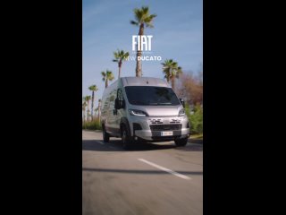 Видео от Fiat Professional Belarus