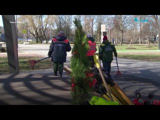 В Петербурге начали высаживать кустарники и деревья