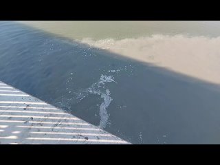 Слив нечистот в реку Кубань в Краснодаре