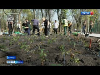 Благоустройство парка «Строитель» в Калининском районе Донецка