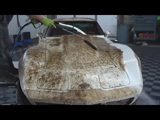 First Wash in 45 Years: BARN FIND Corvette