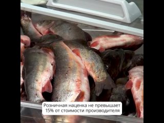 С начала 2024 года в Южно-Сахалинске реализовали более 250 тонн рыбы по доступной цене