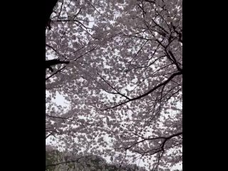[VIDEO] 240413 Suho Instagram Update