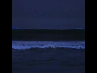 В Калифорнии на пляже засняли светящиеся волны — свет источали особые водоросли.