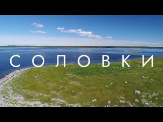 Соловки -место в Белом море , где происходит добыча водорослей Vertera