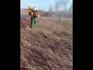 В Рыбинском районе ликвидировали лесной пожар