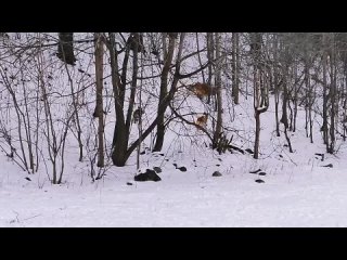 Развлекуха после занятий 🤗😀