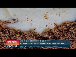 В Германии возобновили производство сыра с живыми клещами. Рецепт Milbenkäse считался утраченным с 1970 года. Сыр едят прямо со