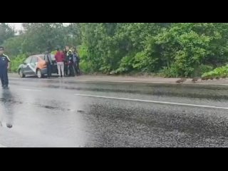 🦆 Полицейский организовал пешеходных переход для семейства уток через дорогу в Ленобласти.  Под присмотром... (видео)