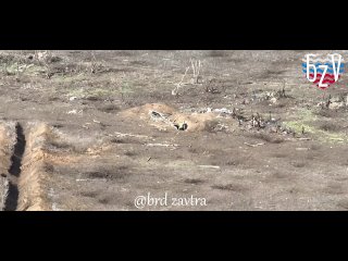 ️Un ataque preciso con un dron FPV ruso🇷🇺 al refugio donde se escondía un grupo de soldados ucranianos🇺🇦 en dirección a Zaporozh