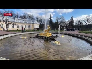 В Нижнем парке музея-заповедника «Петергоф» торжественно открыли летний сезон