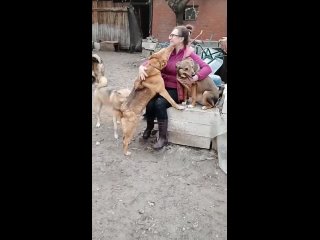 Video by Фонд “ПРАВО НА ЖИЗНЬ“ Помощь животным. Воронеж
