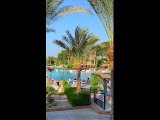 Отдых в Египте в отеле Golden Beach Resort Хургада