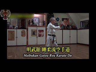 Keishin Sunagawa,88 лет,мастер Годзю-рю каратэ.mp4
