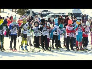 На «Ямальскую лыжню» в Ноябрьске в воскресенье вышли 142 любителя зимнего вида спорта. Соревнования объединили людей разного воз
