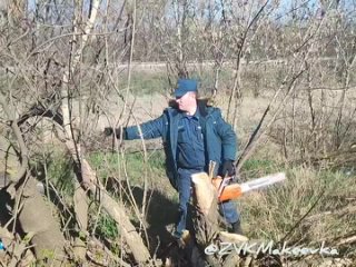 Сегодня был особенный день в нашей любимой Макеевке! Мы в очередной раз доказали своё единство и любовь к родному городу