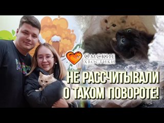 Не рассчитывал о таком повороте! | Крем