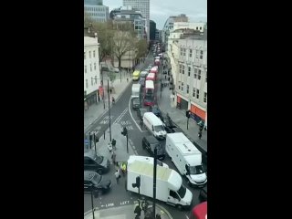 Just Stop Oil protesters stopped traffic in London without letting ambulances pass