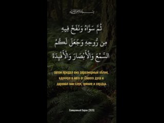 _рамадан _рамазан _пост _голод _благодарность _размышления _понимание _оценка _развитие _истина _ислам _религия _Бог _Аллах _вер