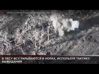 Операторы БПЛА добивают боевиков ВСУ в Серебрянском лесу