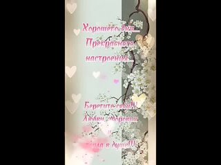 Видео от Нелли Александровой