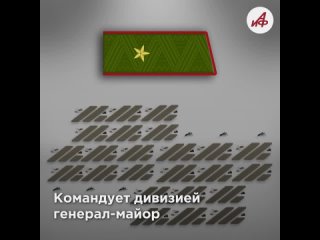 Сколько человек в роте, дивизии и батальоне. Объясняем в графике