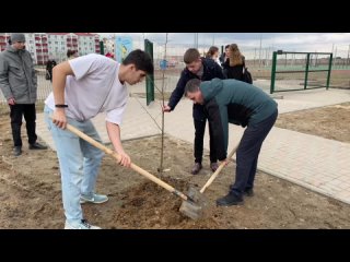 В честь 70-летия Волжского ученики школы №5 высаживают деревья и цветы возле своего учебного учреждения