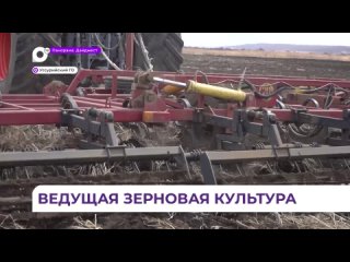 Посевная в Уссурийском округе стартовала раньше срока