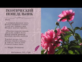 Видео от Библиотека №1 г.Уфа