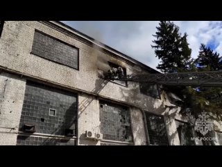 Три человека погибли, двое пострадали при пожаре на заводе в Воронеже, сообщило МЧС. Горение локализовали, спасатели вынесли из