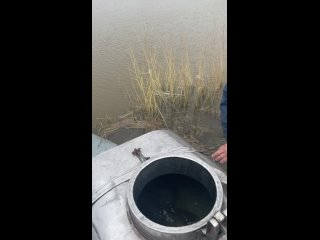 Video by Рыбалка в Береговом “ФХ Клецова“
