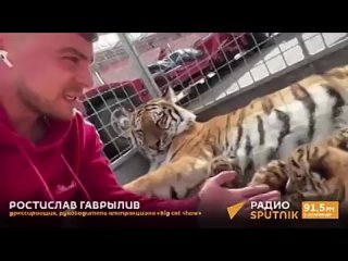 Эдгард Запашный - видео (2)