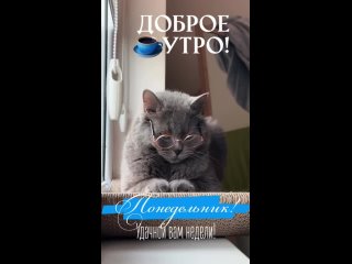 Video by УК в ЖК Зеленые Аллеи