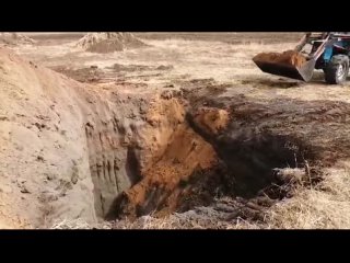 В Иркутском районе закопали останки трупов больных животных